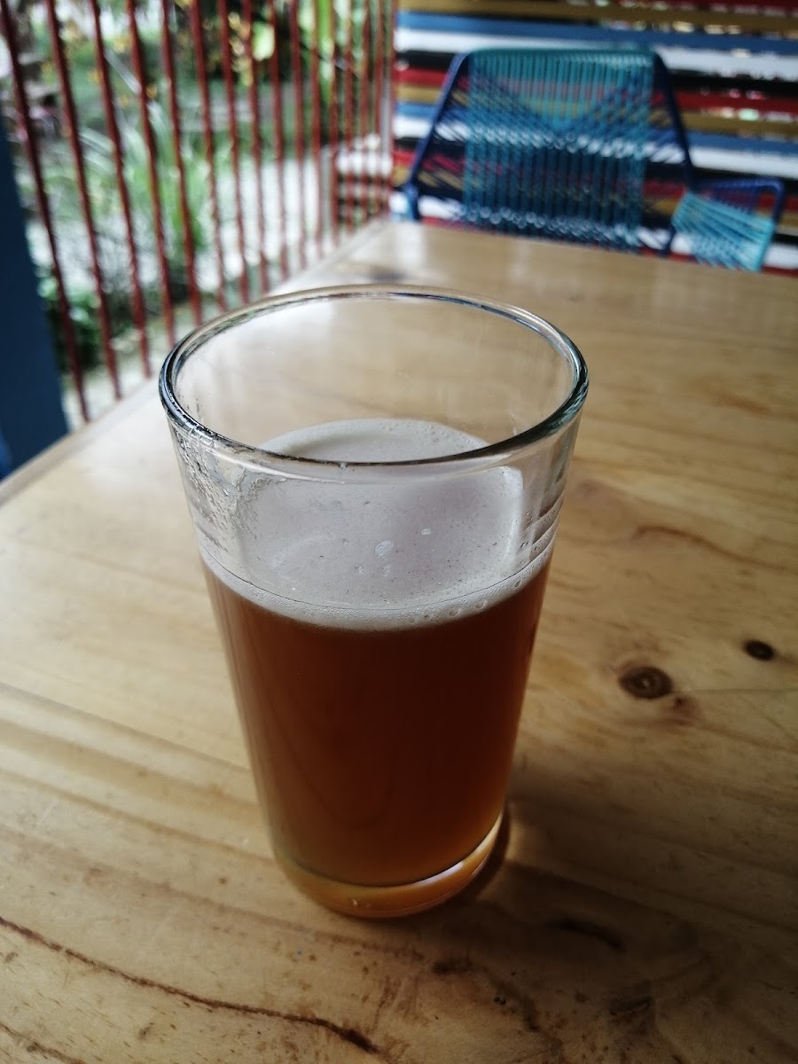 La Casa De El Cacharrito-8